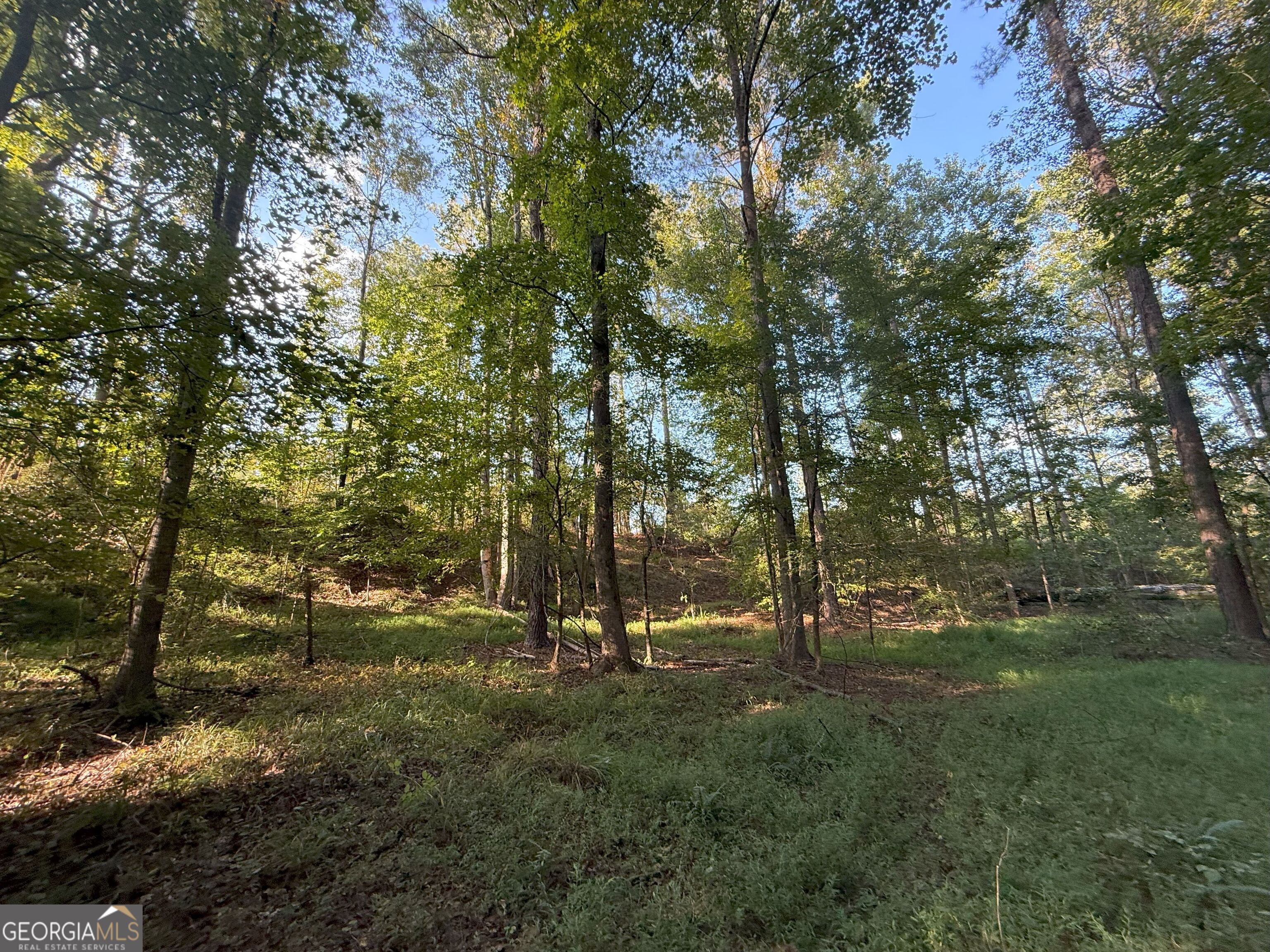 15 Turning Point Way Elberton, GA 30635 - Photo 97 of 110