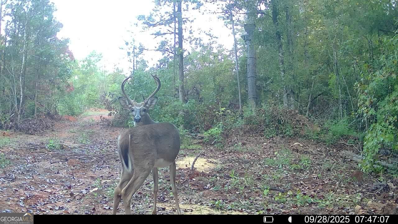 15 Turning Point Way Elberton, GA 30635 - Photo 10 of 110