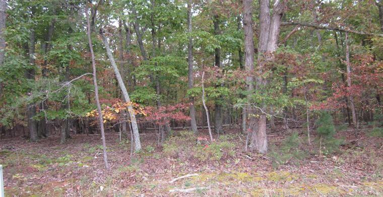 Lot 13 McCrae Road Bedford, VA 24523 - Photo 1 of 9 Main photo