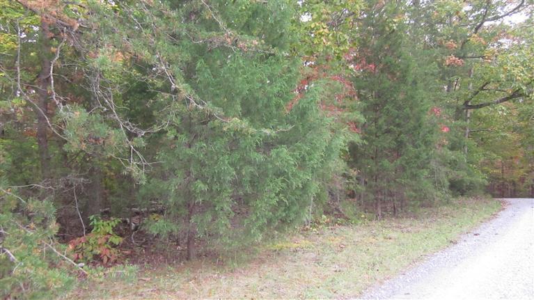 Lot 13 McCrae Road Bedford, VA 24523 - Photo 3 of 9 5d69d38d-70f1-4d3c-b804-586dbd6577aa