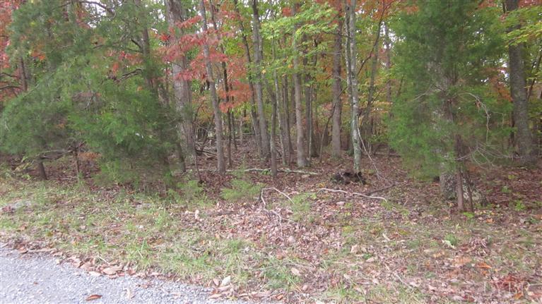 Lot 13 McCrae Road Bedford, VA 24523 - Photo 4 of 9 659e9db0-1fc4-42f1-863e-39d8a9b23649