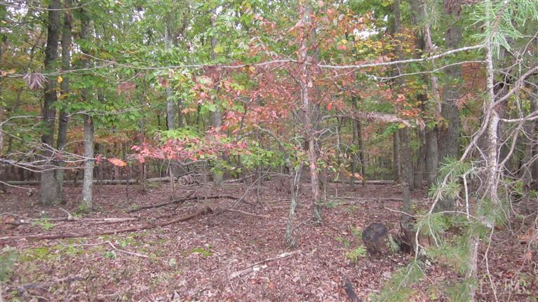 Lot 13 McCrae Road Bedford, VA 24523 - Photo 6 of 9 84934276-7cda-452b-a9c0-b33f2638217b