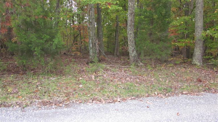 Lot 13 McCrae Road Bedford, VA 24523 - Photo 7 of 9 95002201-e2c9-4bbd-8fdd-14858d9f3433