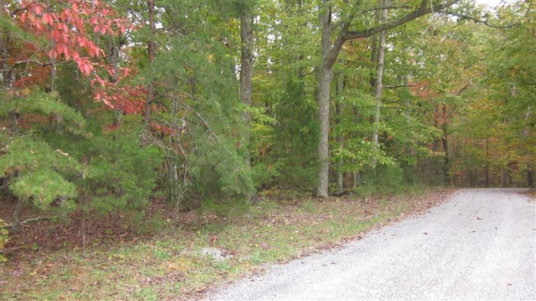 Lot 13 McCrae Road Bedford, VA 24523 - Photo 8 of 9 daa77b6e-6903-4eb3-8922-27bfd1c4c574