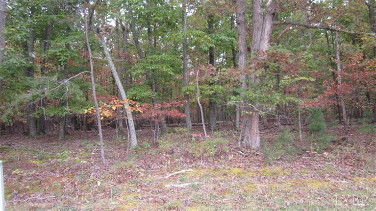 Lot 13 McCrae Road Bedford, VA 24523 - Photo 9 of 9 Lot 13 McCrae