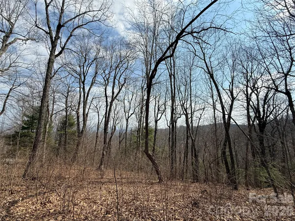 a backyard of a house with lots of trees