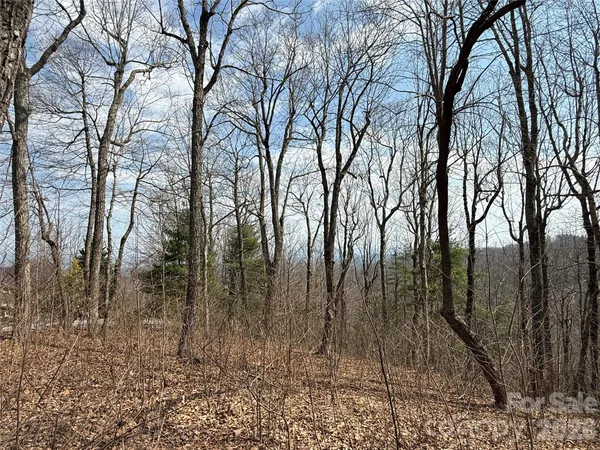 a view of a yard