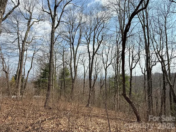 a view of backyard space with a trees