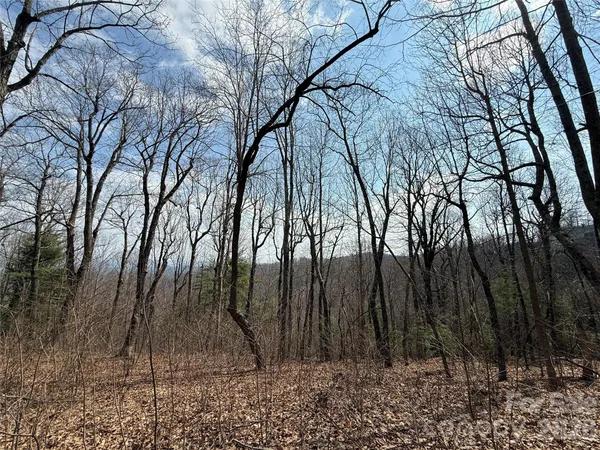 a view of backyard with green space