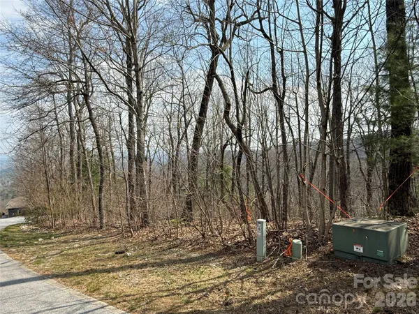 a view of a backyard of the house