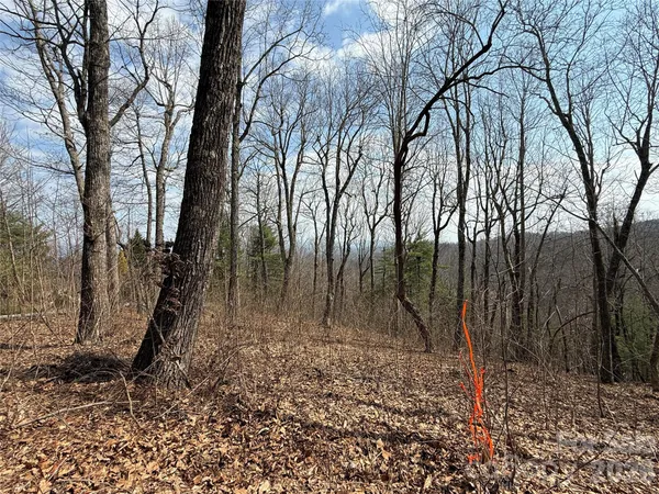 a view of a backyard of the house