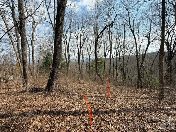 a view of a yard with trees