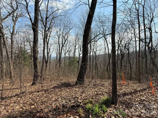 a view of backyard space