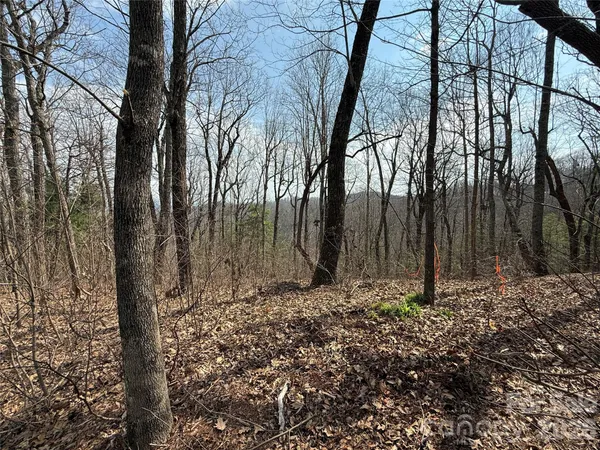 a view of outdoor space with trees