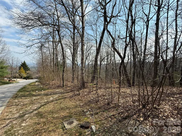 a view of a backyard of the house