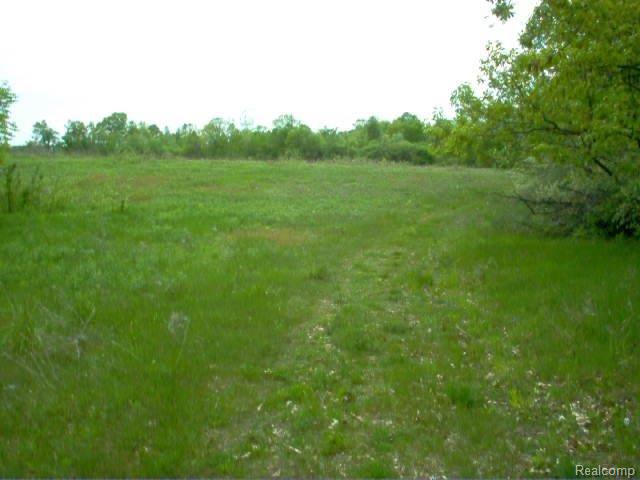 Vacant Fish Lake Road North Branch, MI 48461 - Photo 12 of 14 Fish Lake Rd