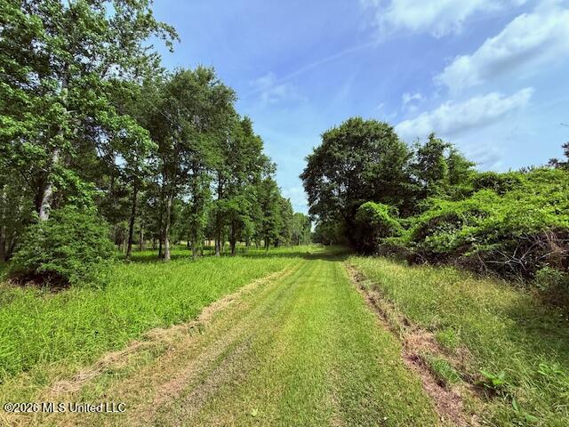 37 Fortenberry Road Tylertown, MS 39667 - Photo 35 of 83 IMG_3969