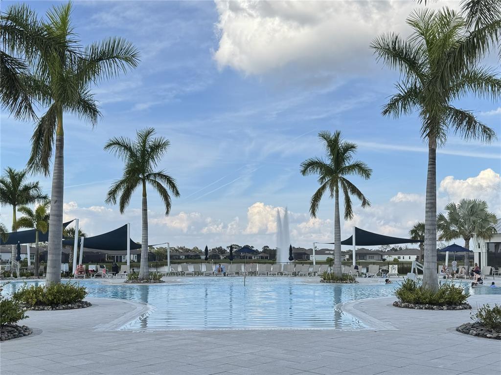 9408 Coastline Way Palmetto, FL 34221 - Photo 30 of 41 a palm tree sitting in front of a house with a yard