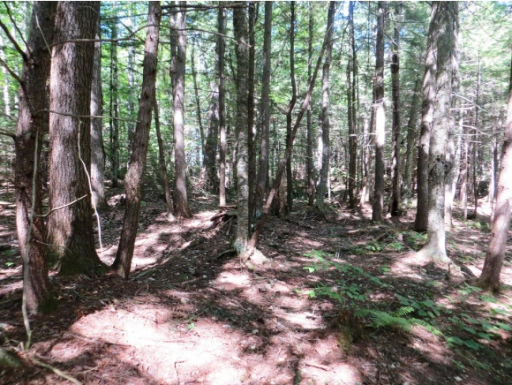 42 O Miles Pond Road Sandwich, NH 03259 - Photo 1 of 9 Gallery Image 1