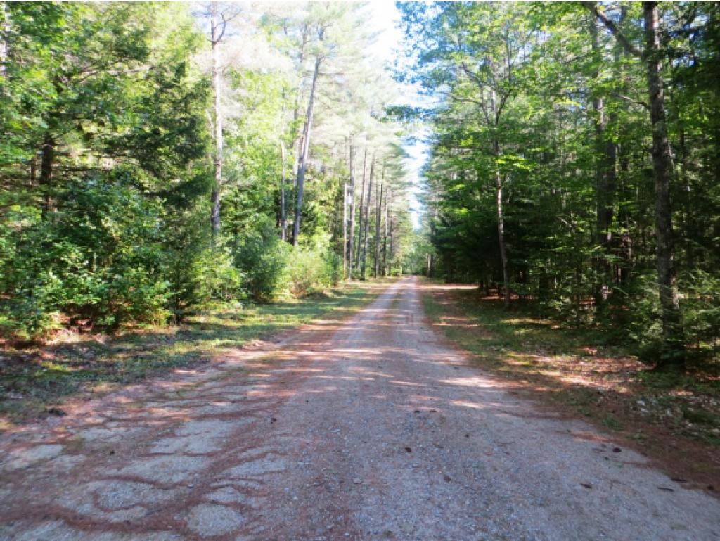 42 O Miles Pond Road Sandwich, NH 03259 - Photo 8 of 9 Gallery Image 8