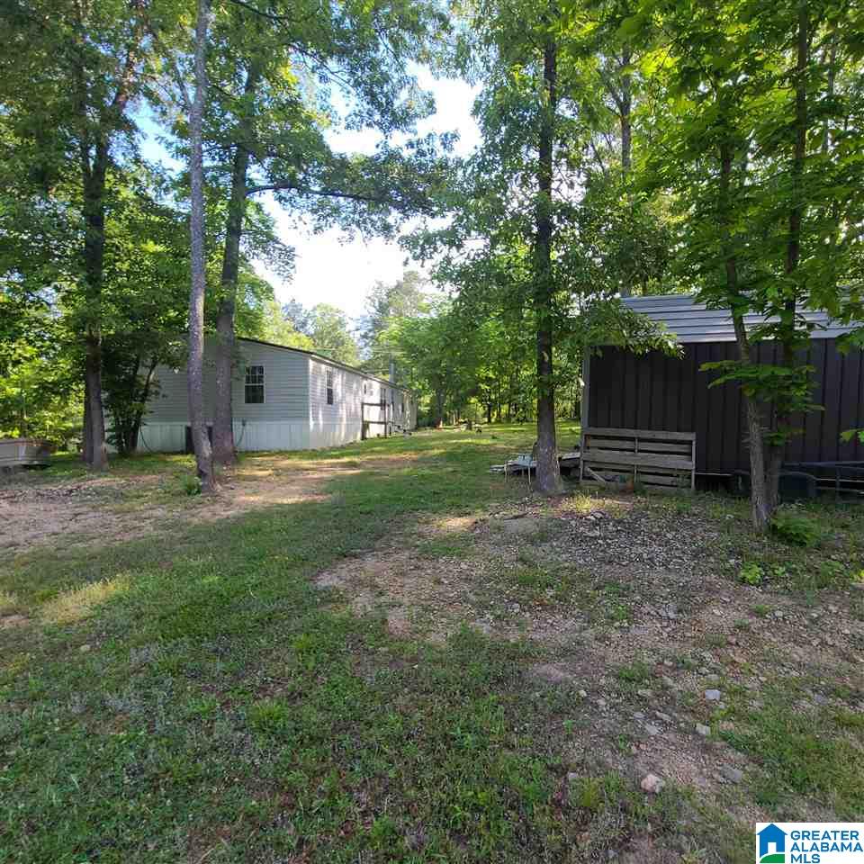 2658 Sprayberry Road Pell City, AL 35125 - Photo 19 of 21