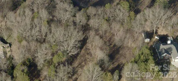 a view of a forest