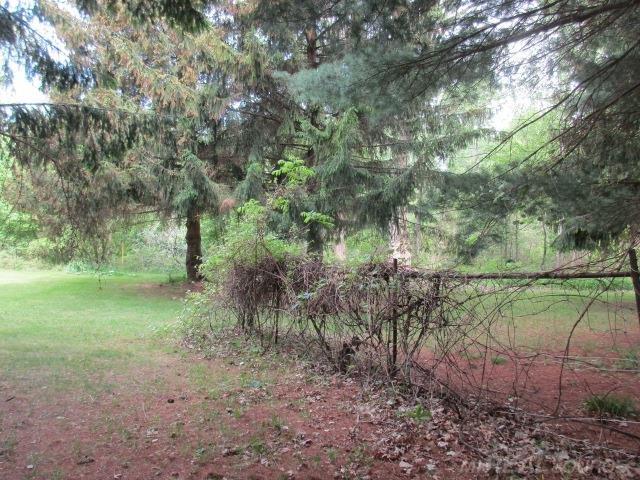 3155 Applegate Road Applegate, MI 48401 - Photo 35 of 36