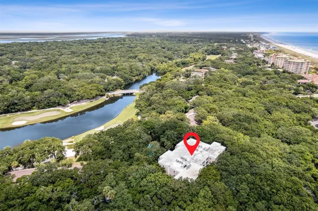 a view of a park with a large tree