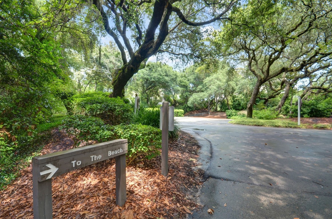 2123 Beachwood Road, Unit 2123 Fernandina Beach, FL 32034 - Photo 33 of 64 a view of a yard with plants and trees