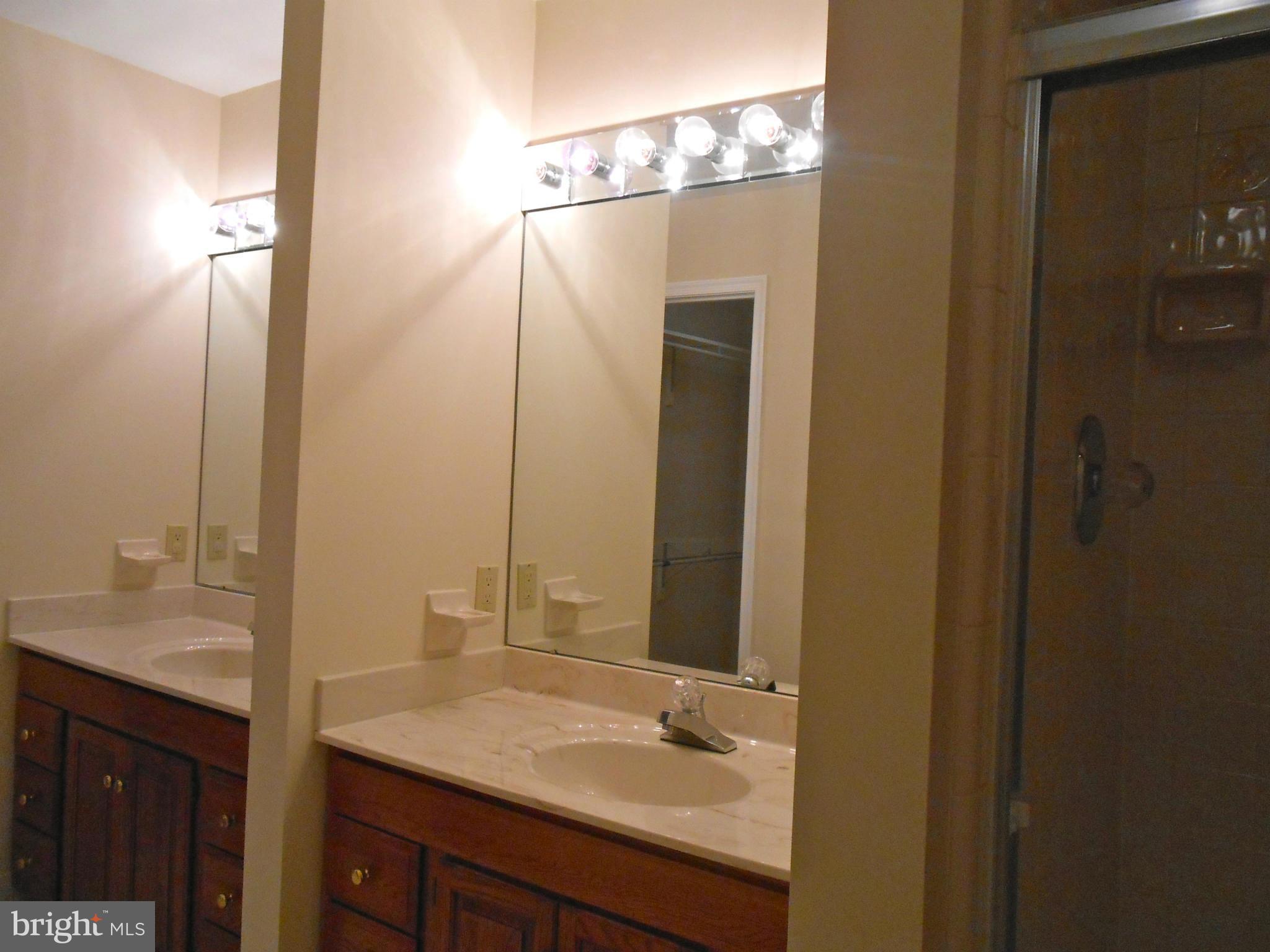 9735 Clemsonville Road Union Bridge, MD 21791 - Photo 22 of 28 Bath (Master)