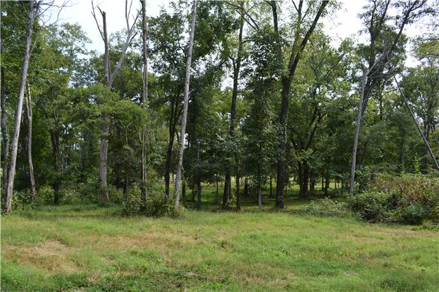 0 Vesta Road Lebanon, TN 37090 - Photo 8 of 11