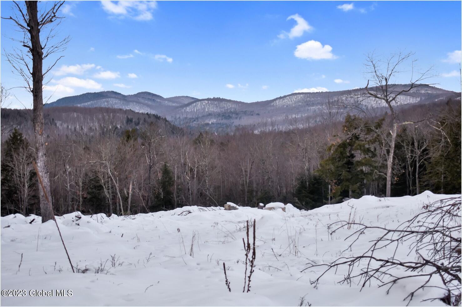 0 Garnet Lake Road Johnsburg, NY 12843 - Photo 5 of 21 sh13