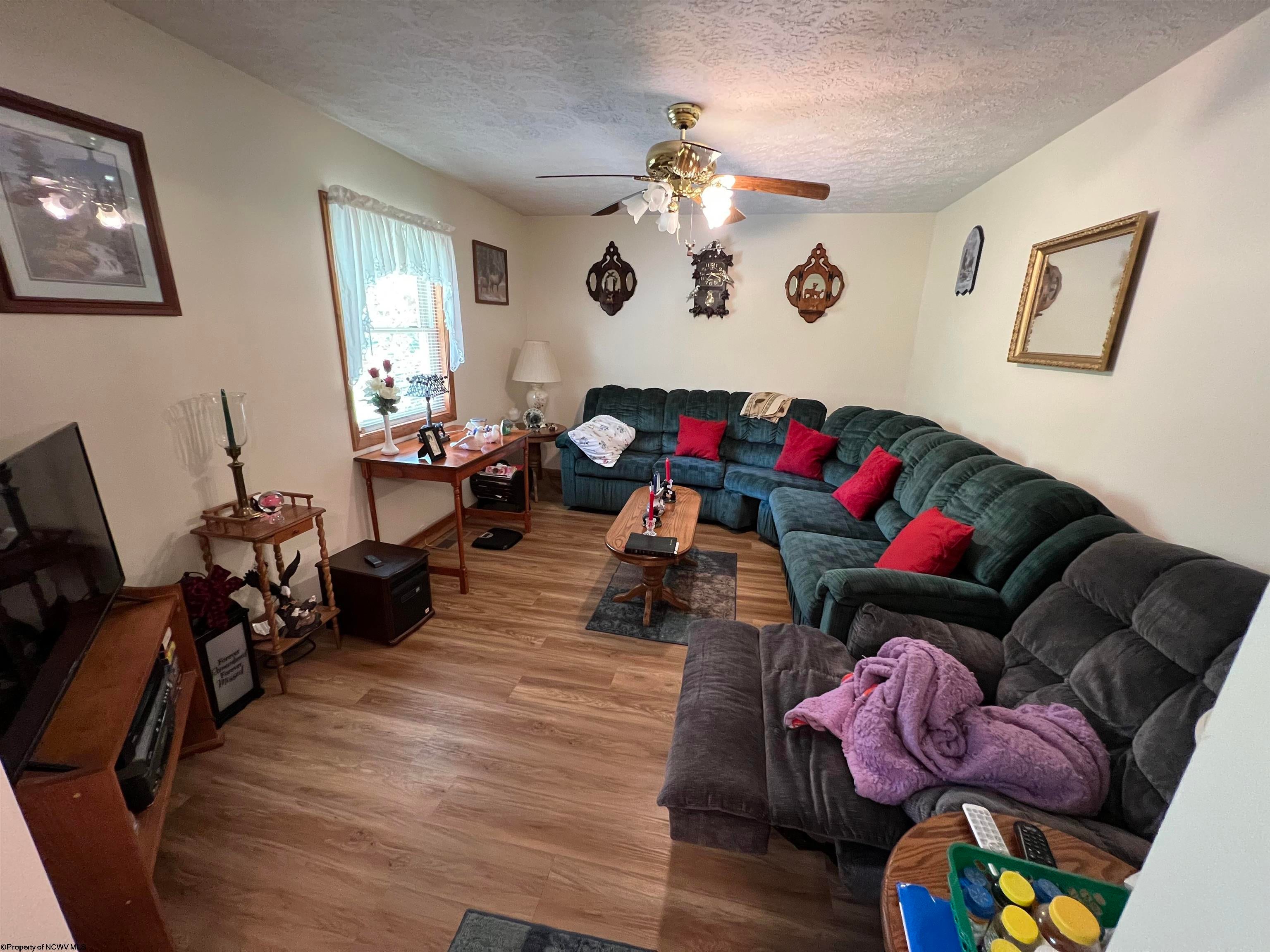 230 Dry Branch Road Slatyfork, WV 26291 - Photo 12 of 30 Gallery Image 12