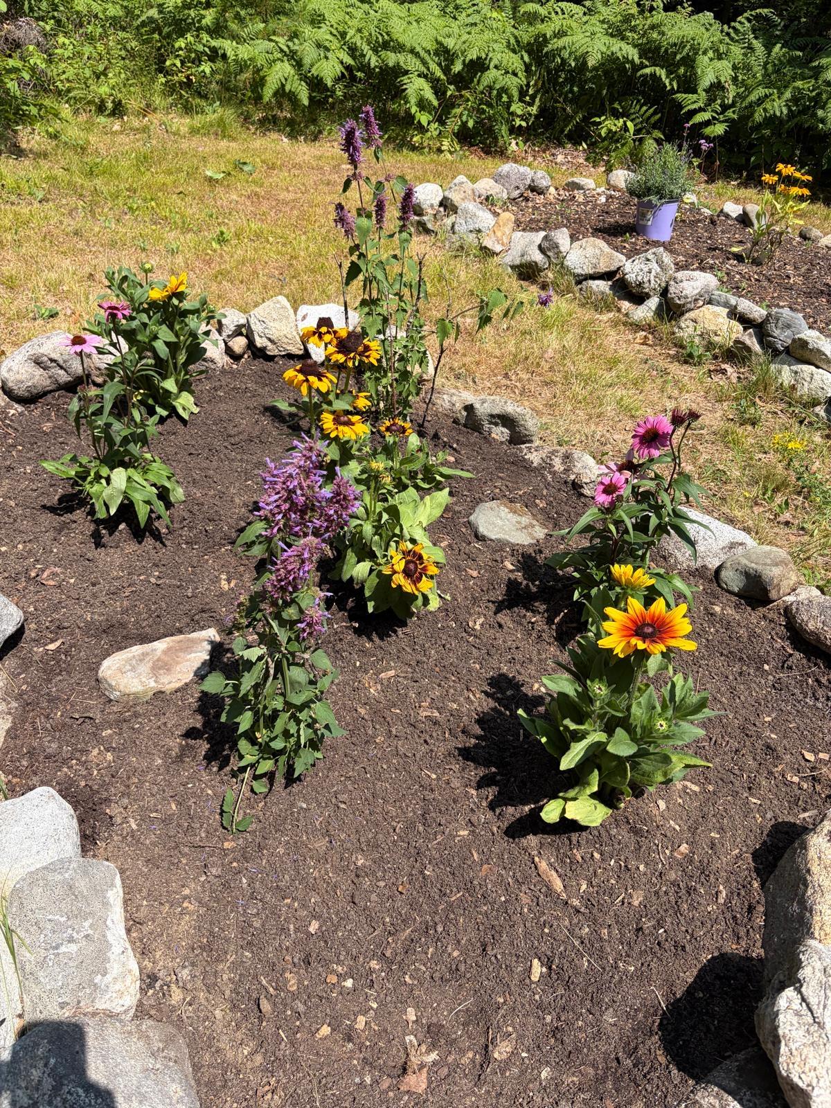 674 Friendship Road Waldoboro, ME 04572 - Photo 28 of 40 backyard gardens