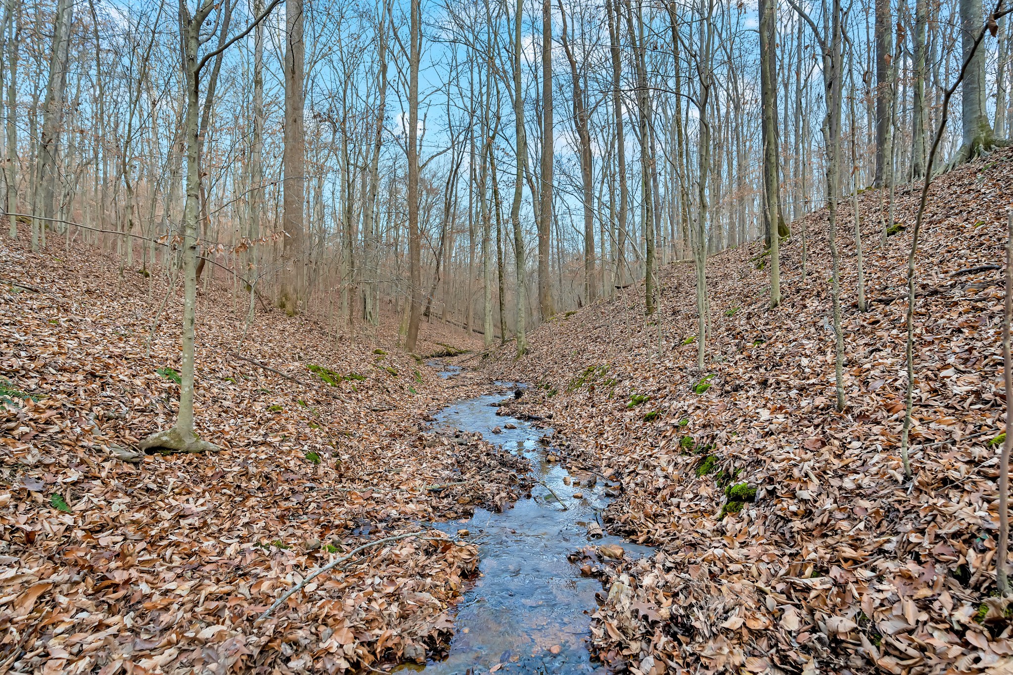 0 Waddell Hollow Road Franklin, TN 37064 - Photo 4 of 11 a view of wooden fence