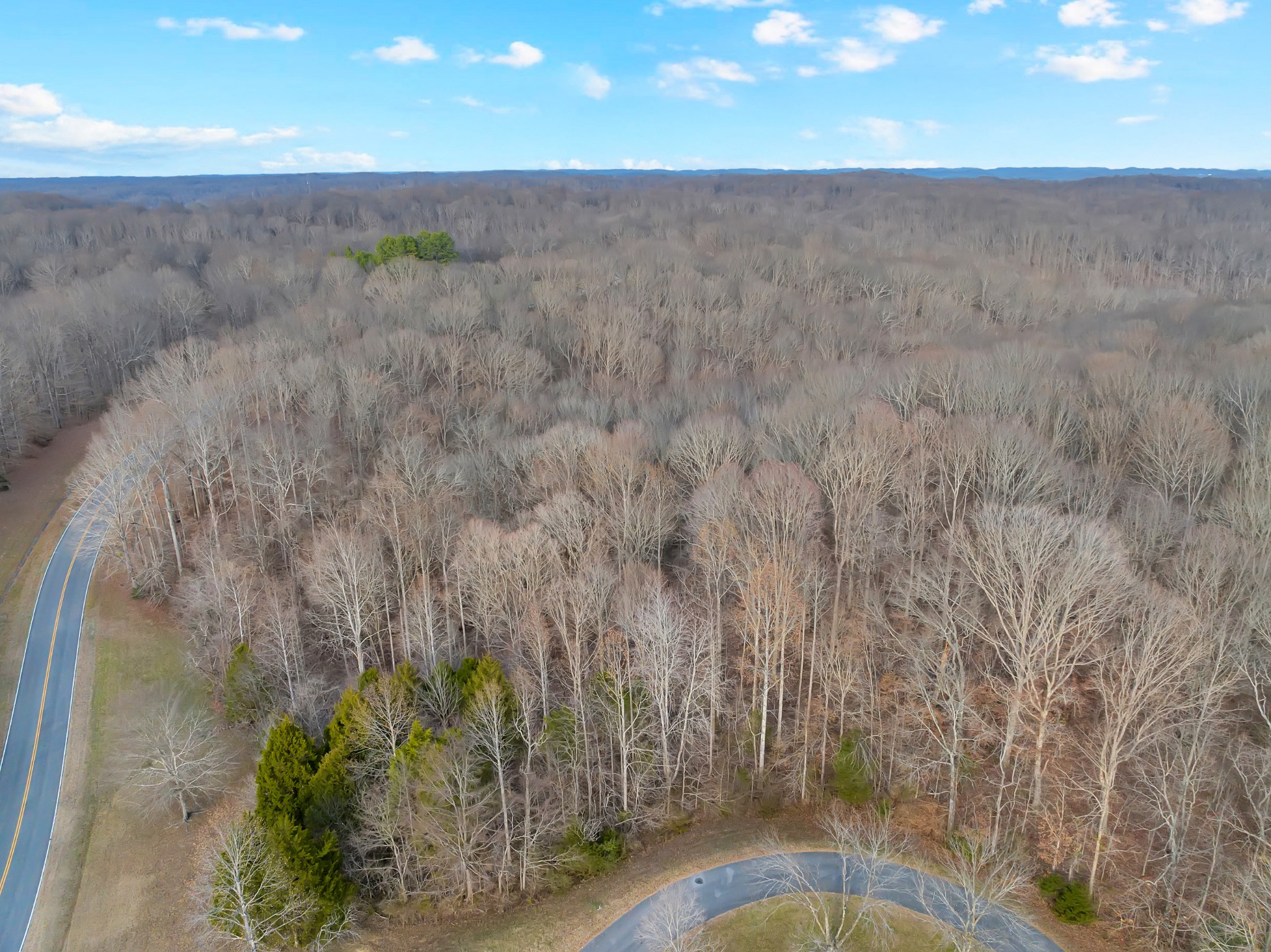 0 Waddell Hollow Road Franklin, TN 37064 - Photo 7 of 11