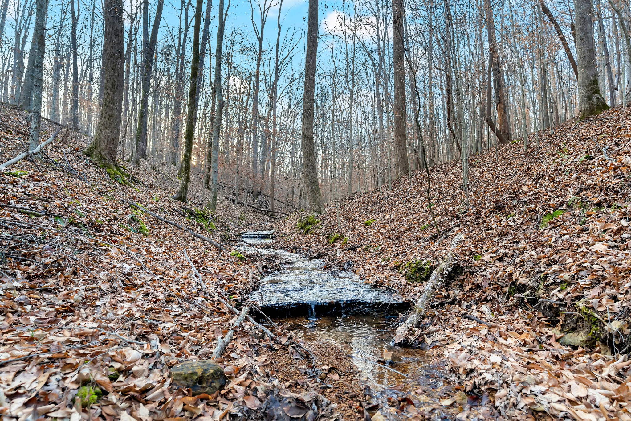 0 Waddell Hollow Road Franklin, TN 37064 - Photo 10 of 11 a view of a backyard of the house