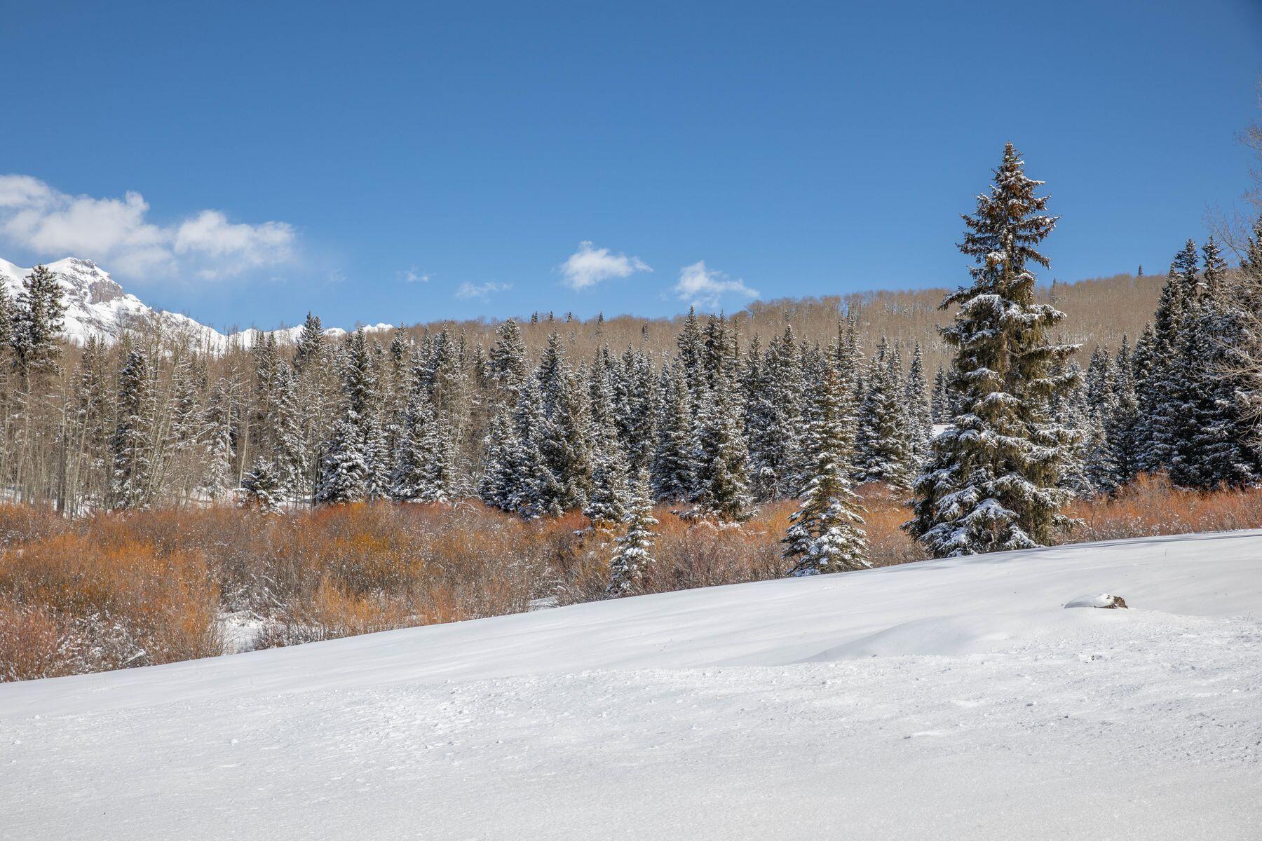 530 Elk Run Telluride, CO 81435 - Photo 11 of 30 a view of a dry yard with trees in the background