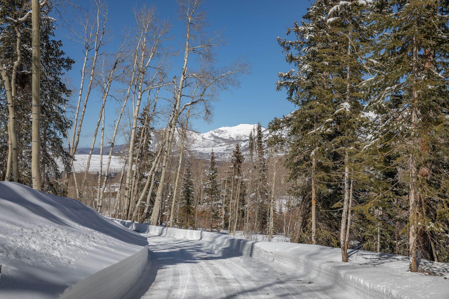 530 Elk Run Telluride, CO 81435 - Photo 12 of 30 photo_offline_004