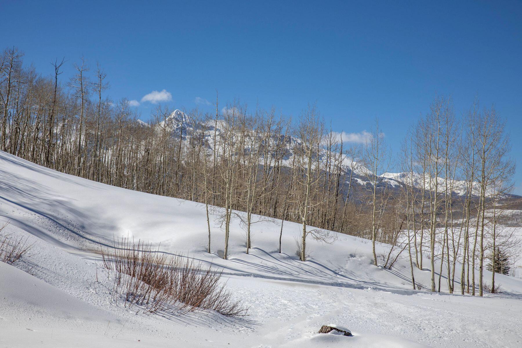 530 Elk Run Telluride, CO 81435 - Photo 15 of 30 photo_offline_009