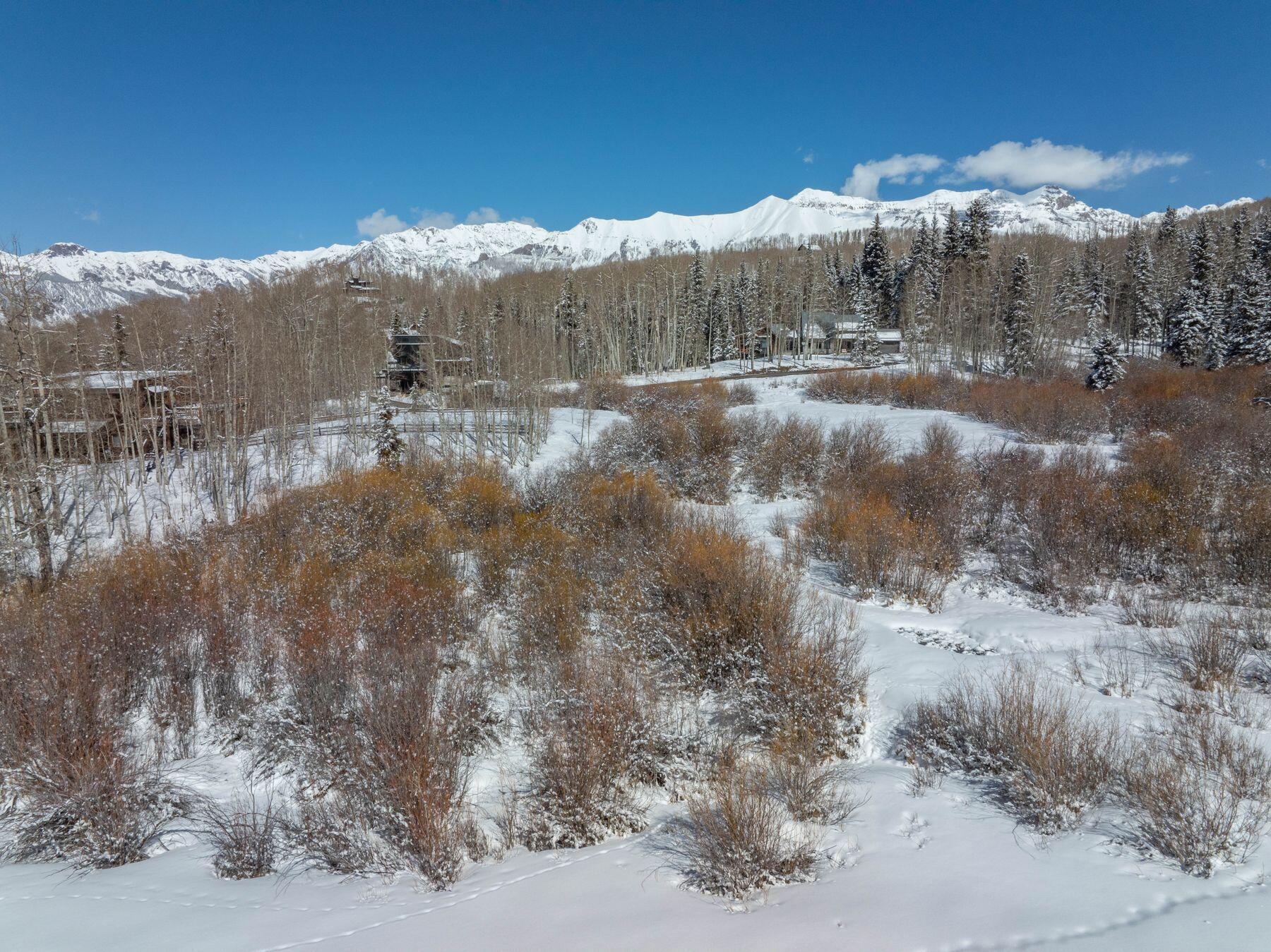 530 Elk Run Telluride, CO 81435 - Photo 25 of 30 photo_offline_033