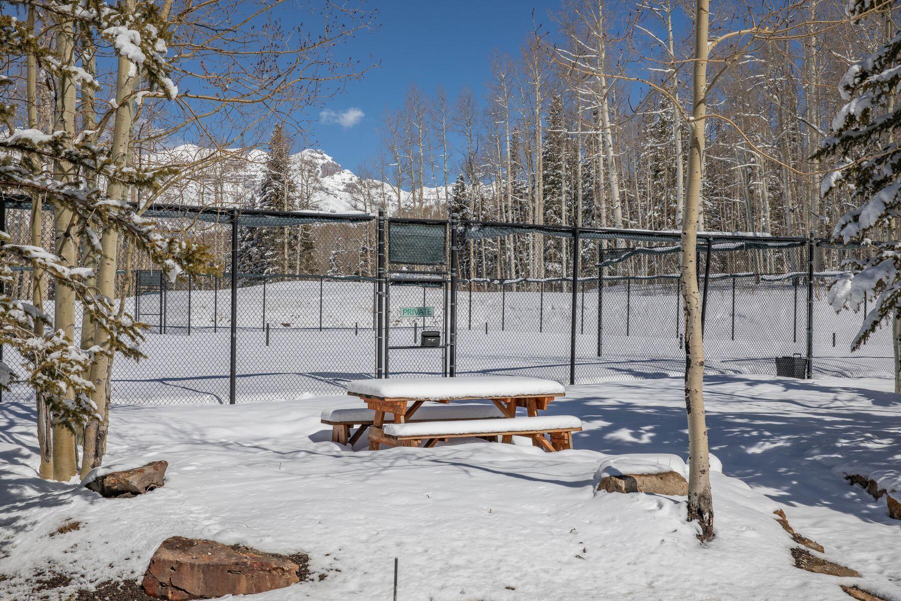 530 Elk Run Telluride, CO 81435 - Photo 28 of 30 photo_offline_014