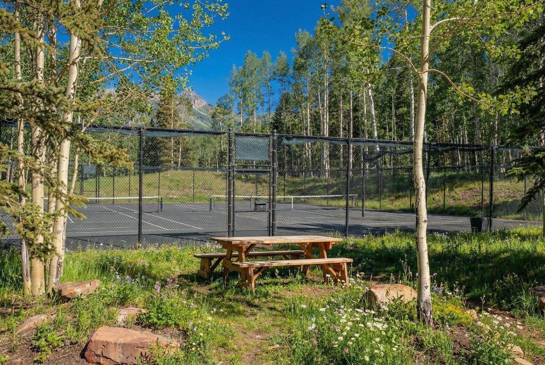 530 Elk Run Telluride, CO 81435 - Photo 30 of 30 photo_offline_035