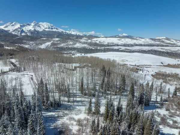 a view of a lake in middle of the forest