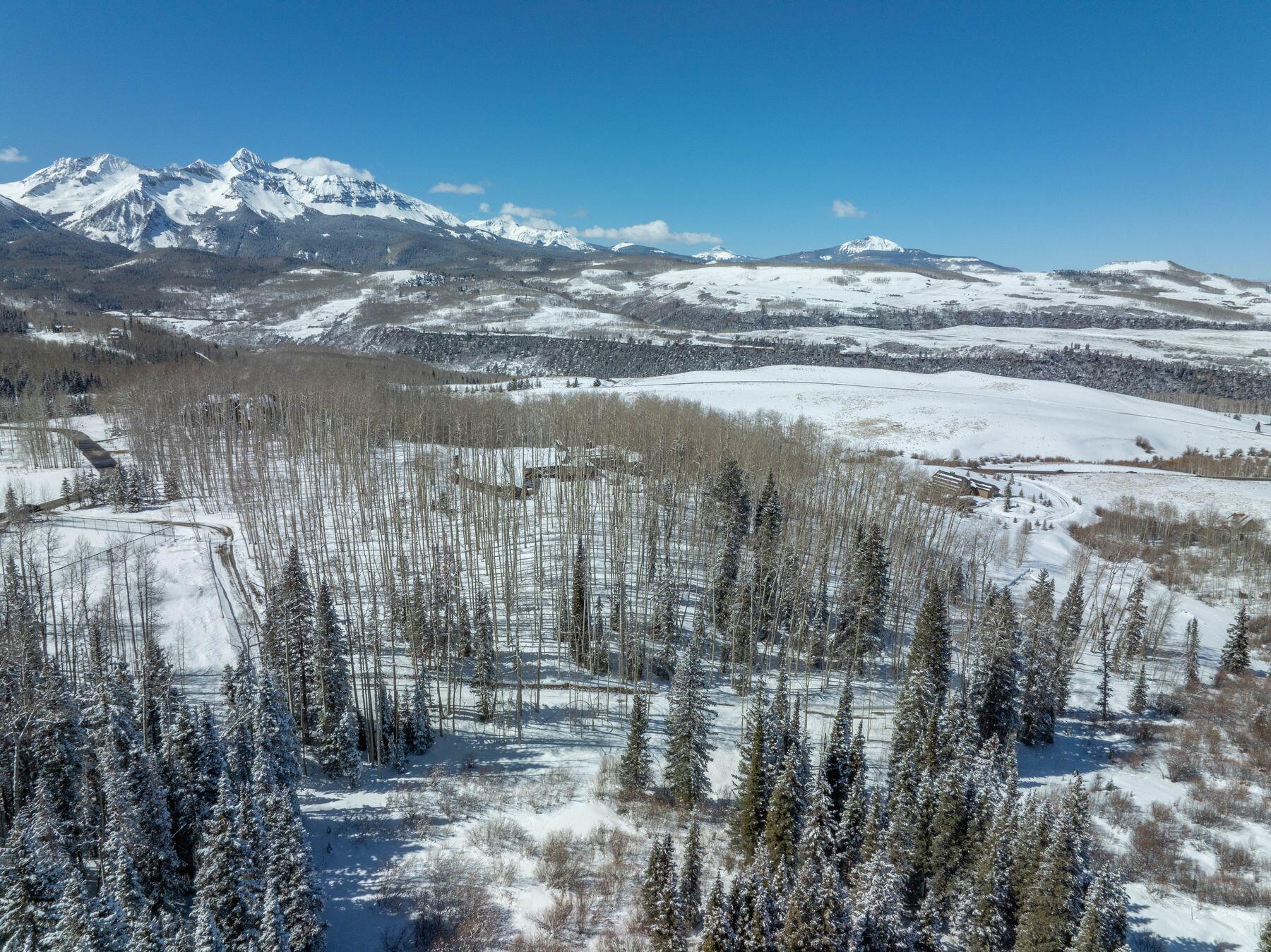 530 Elk Run Telluride, CO 81435 - Photo 3 of 30 photo_offline_016