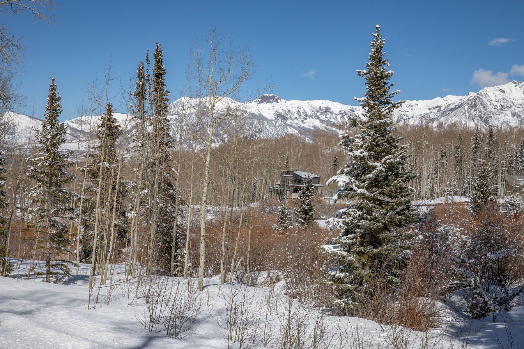 530 Elk Run Telluride, CO 81435 - Photo 5 of 30 photo_offline_005