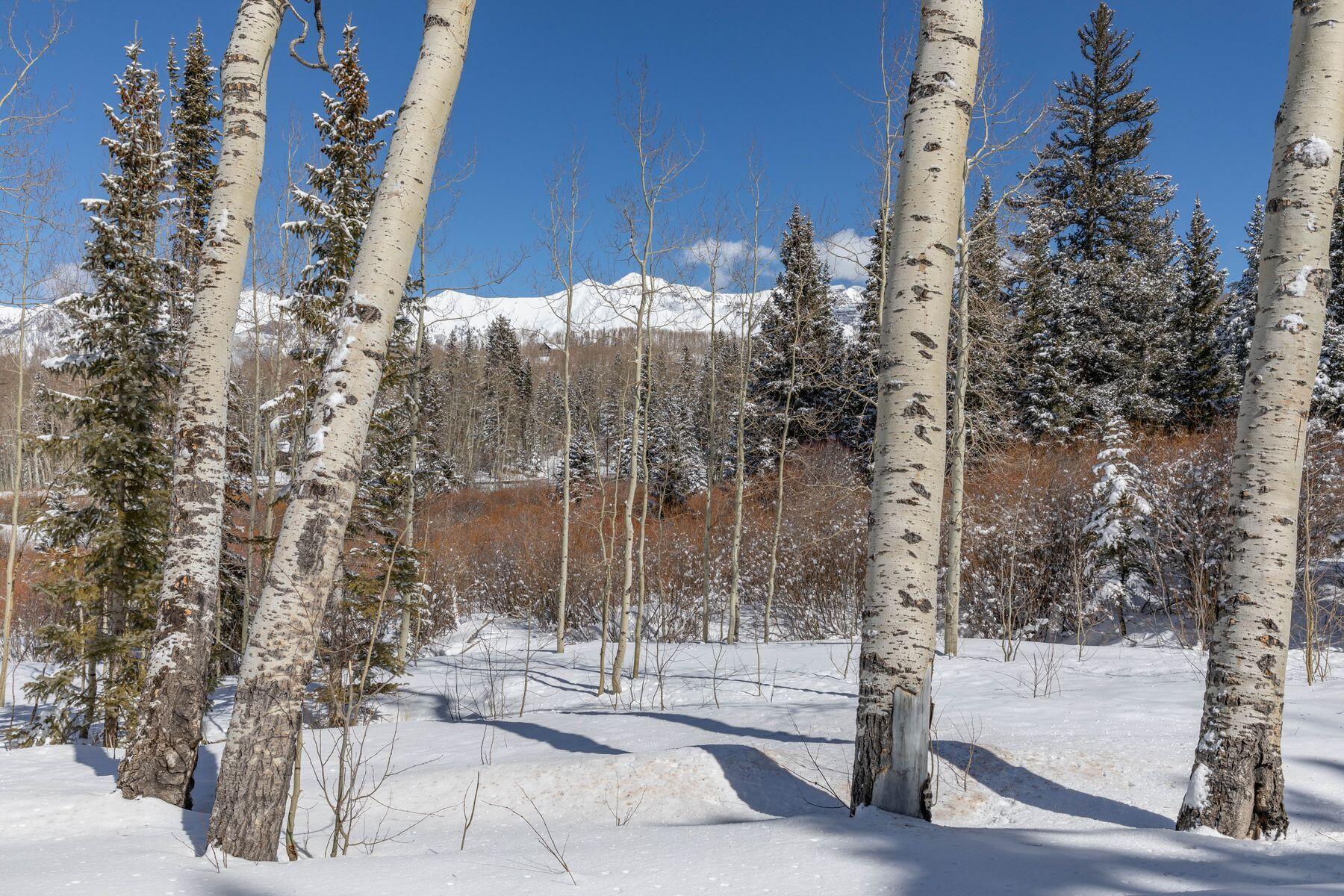 530 Elk Run Telluride, CO 81435 - Photo 8 of 30 photo_offline_001