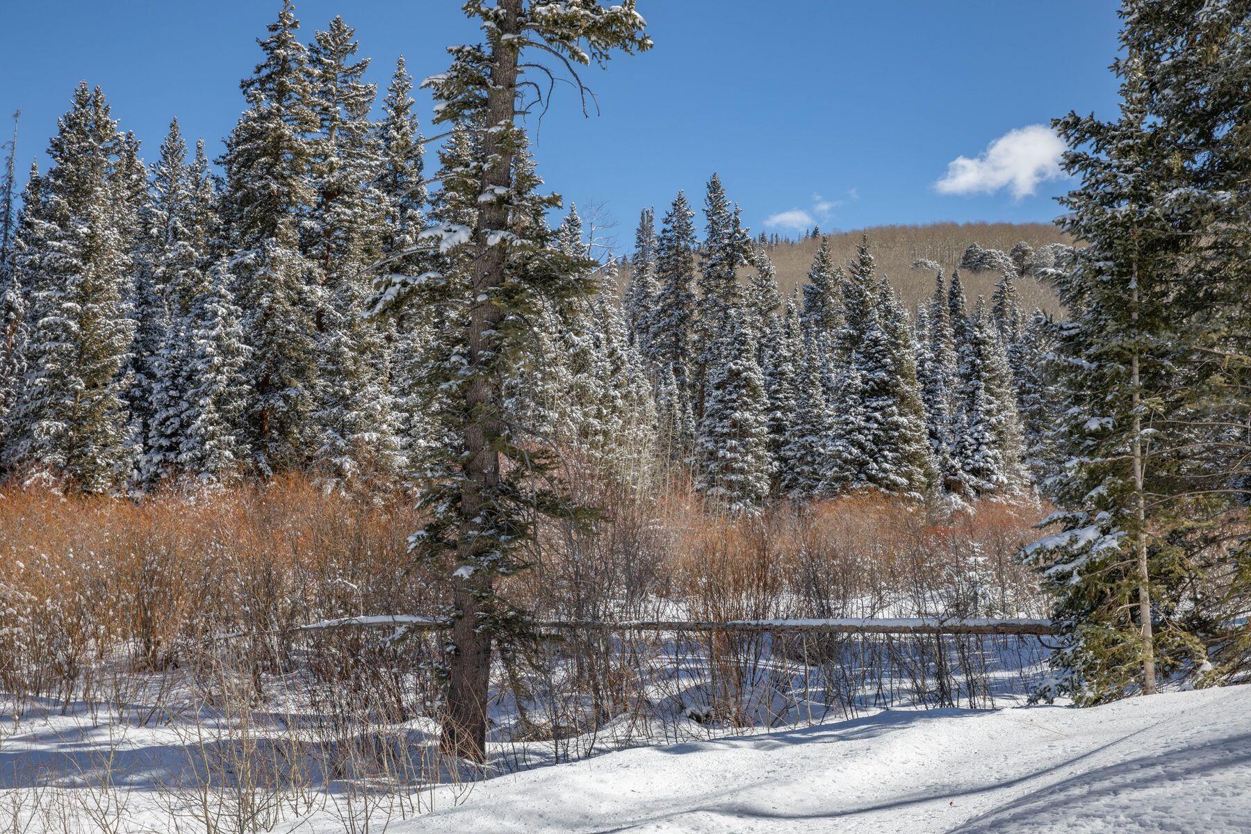 530 Elk Run Telluride, CO 81435 - Photo 9 of 30 a view of a city with tall trees