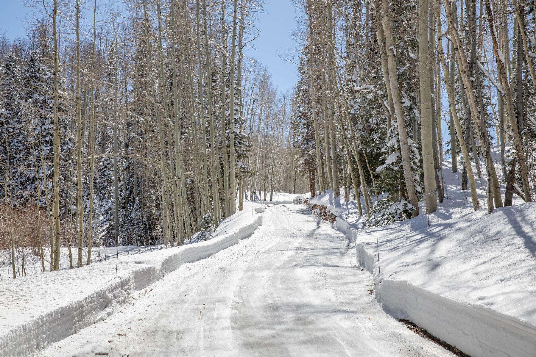 530 Elk Run Telluride, CO 81435 - Photo 10 of 30 a view of a backyard of the house