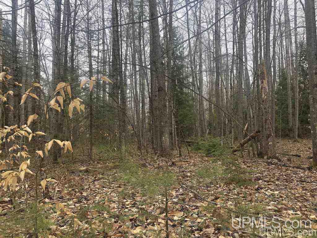 36.5 Shores Road, Unit 22 Manistique, MI 49854 - Photo 10 of 11